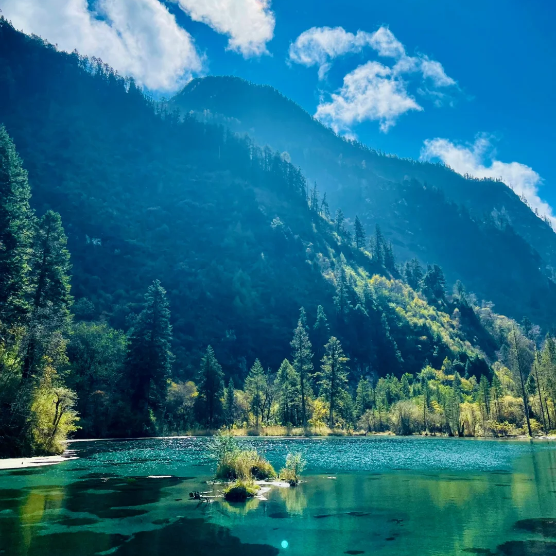 毕棚沟一日游&2-6人包车游&含门票观光车&成都出发&三环内接送 - 定制游预订