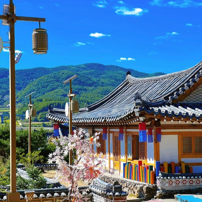 【2人】吉林长春东北虎园+伪满皇宫博物馆+通化高句丽文物旅游区+轻奢酒店自由行