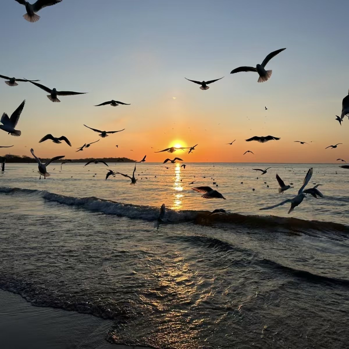 【畅玩】秦皇岛首旅京伦酒店榻榻米主题智能套房5天4晚+天下第一关