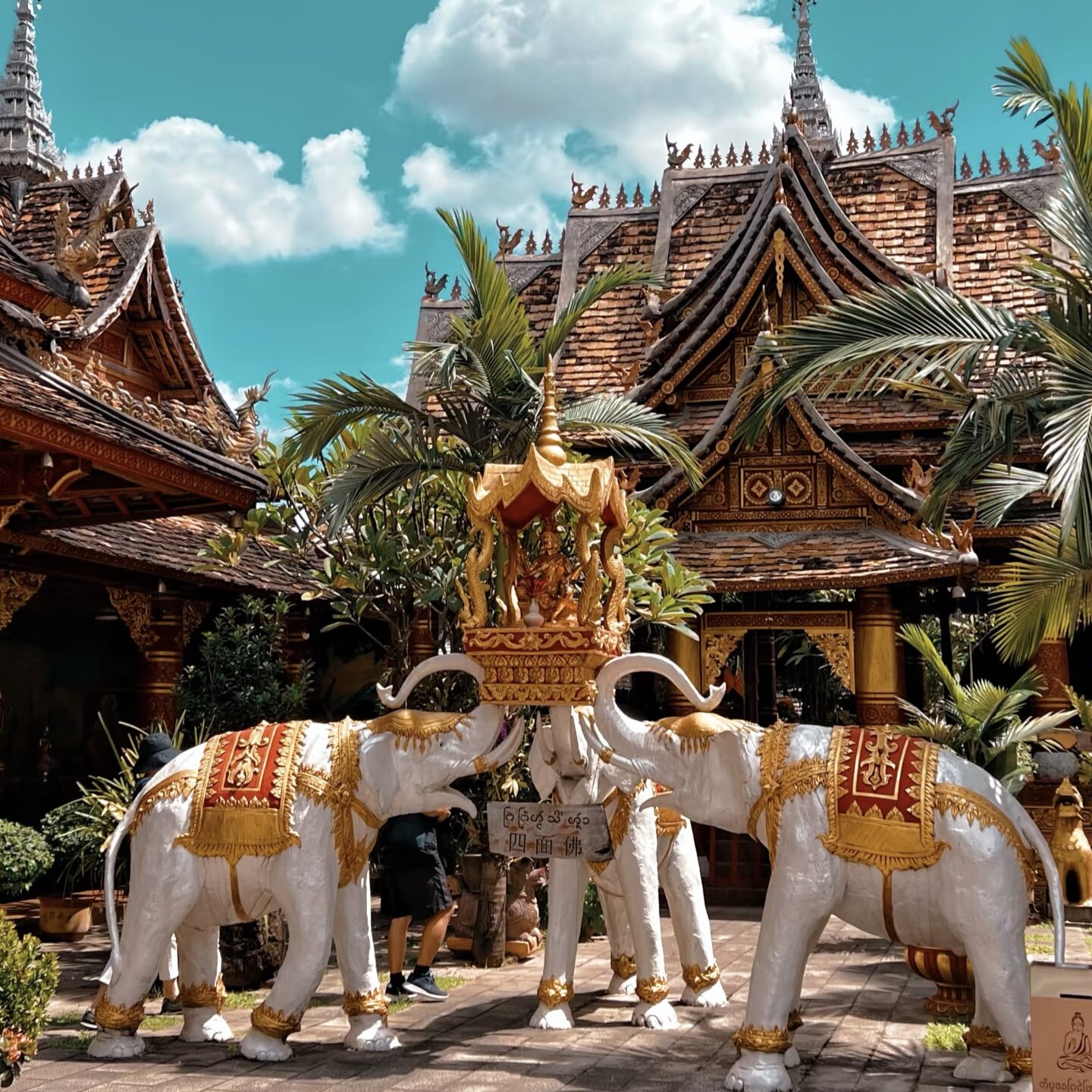 云南西双版纳5日跟团游+纯玩+孔雀宴+8大景点 - 定制游预订