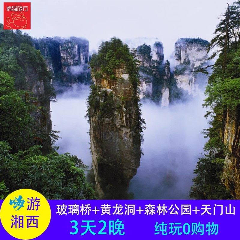 长沙湖南张家界旅游3天2晚纯玩跟团游森林公园天门山大峡谷玻璃桥 - 定制游预订