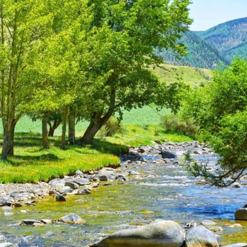 甘孜提弄秘境+木雅大寺+塔公+姑弄村2天1晚 多住宿标准可选 - 定制游预订