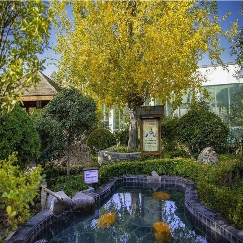 临朐揽翠湖(天沐)温泉度假村住宿+2张温泉门票