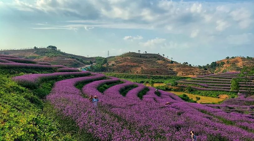 柳州百花岭景区图片