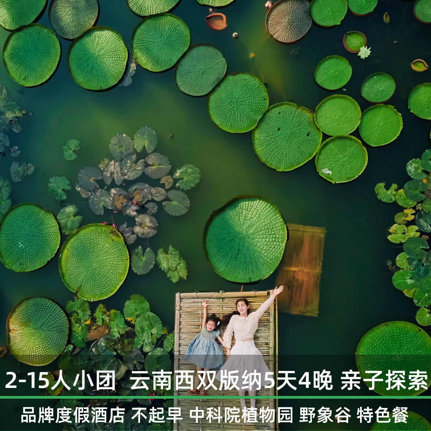 15人商务团 云南西双版纳5天4晚亲子游 中科院植物园 野象谷 曼听 - 定制游预订