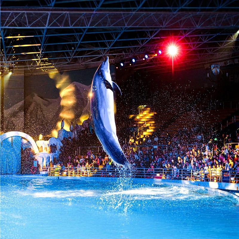 青岛国信中心酒店3天2晚|海洋公园+摩天轮+云上海天买1送1|亲子优选