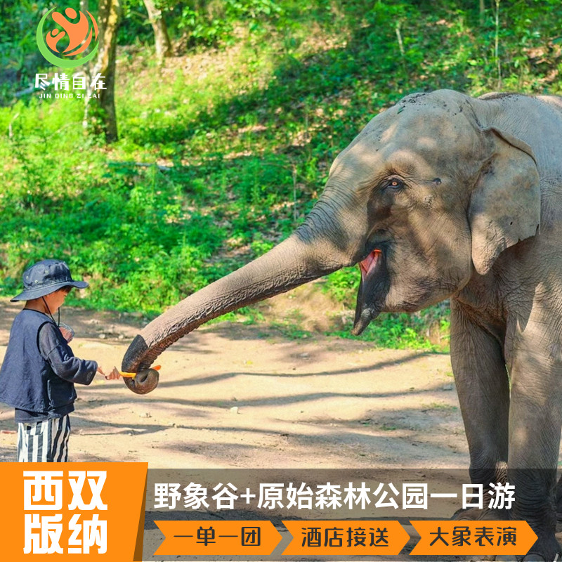 云南旅游西双版纳野象谷+原始森林公园含门票私家团一日游 - 定制游预订
