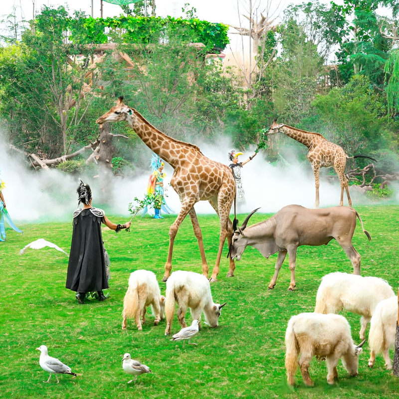 【错峰特惠】郑州银基冰雪3天2晚/动物王国/水上乐园/冰雪世界