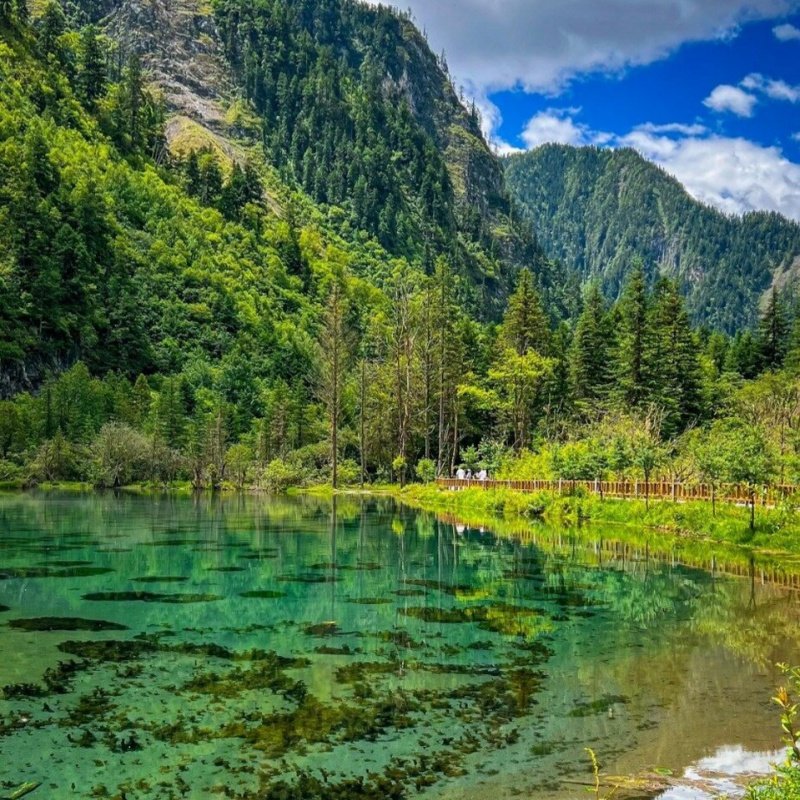 毕棚沟1日游 可选三环内接 普通车/保姆车可选 可含旅拍 - 定制游预订