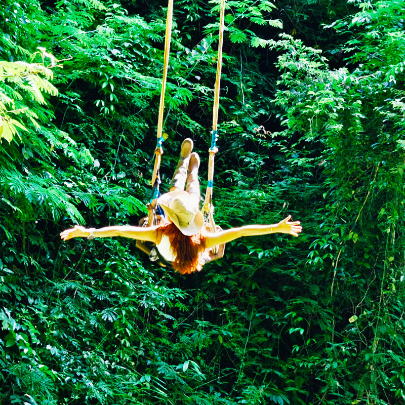 【一单一团 轻奢高定】 云南西双版纳-普洱-景迈山6天5晚自由行 - 定制游预订