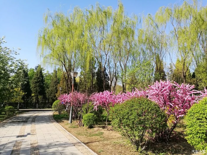 沈阳市园林植物标本公园图片