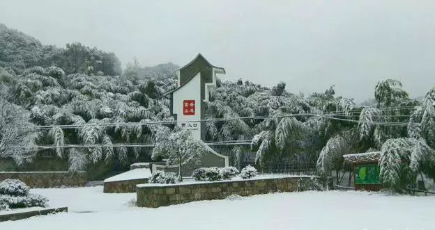 诸葛山图片