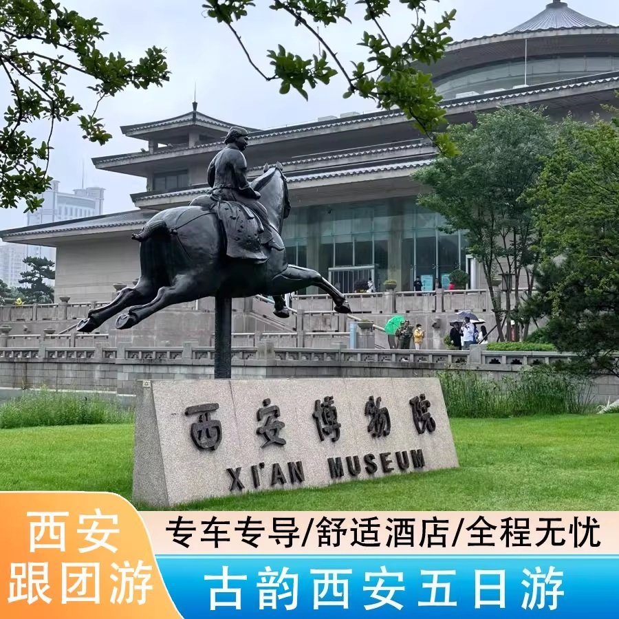 西安旅游西安跟团游西安旅游私家团兵马俑兵马俑讲解西安博物院 - 定制游预订