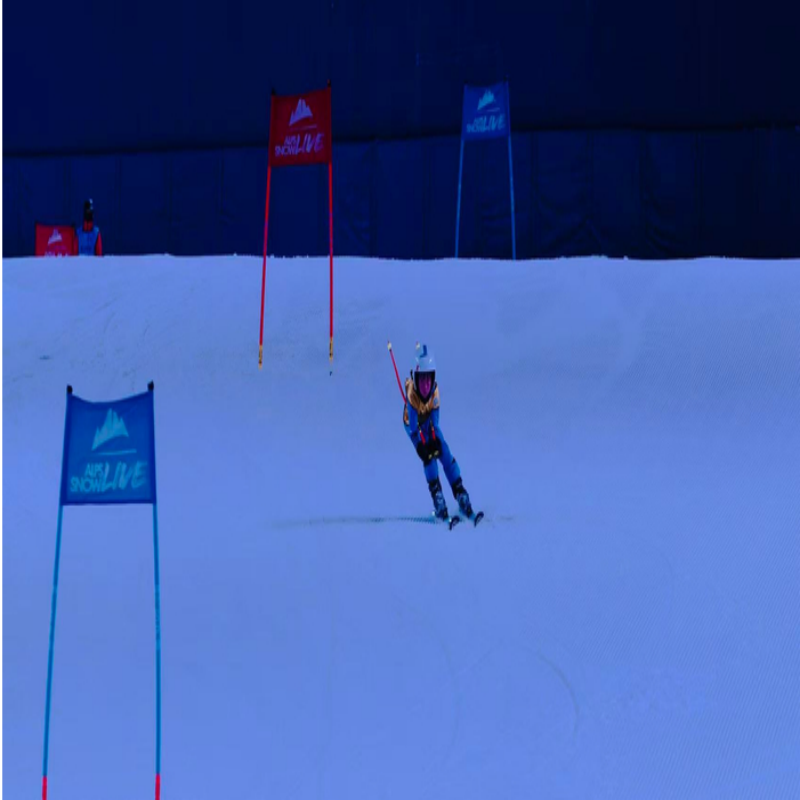 太仓珀丽尚品酒店住宿+太仓阿尔卑斯雪世界4小时双人滑雪票 - 定制游预订