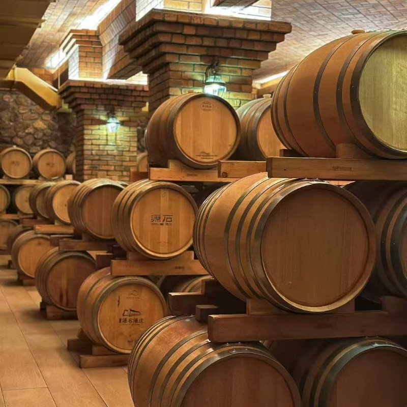 1日游宁夏酒庄品酒-源石酒庄+贺兰山岩画+西夏王陵 - 定制游预订