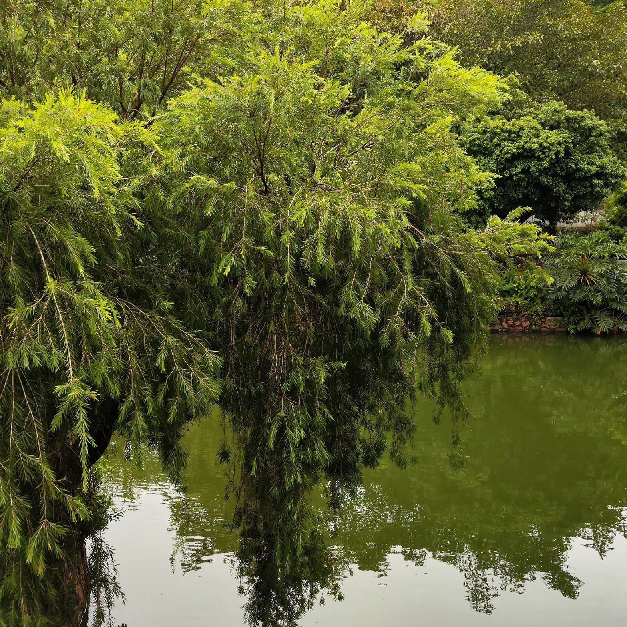 恩施戴斯温德姆酒店(女儿城民族大学店)住宿+恩施大峡谷成人票 - 定制游预订