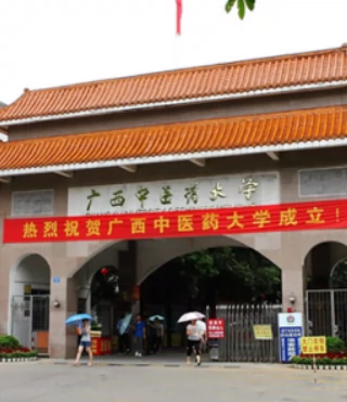 广西中医药大学(北湖校区)图片