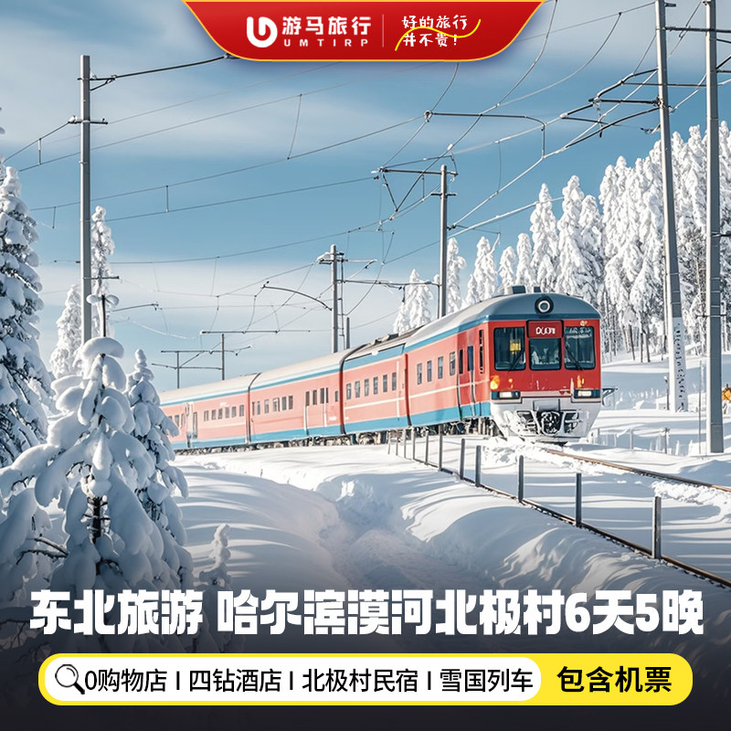【纯玩含机票】东北旅游哈尔滨漠河北极村雪国列车6天5晚跟团游 - 定制游预订