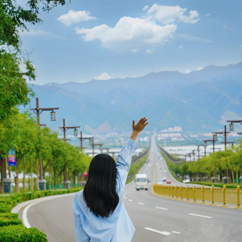 山西运城旅游盐湖关帝庙普救寺鹳雀楼一日游跟团游1人起订含门票 - 定制游预订