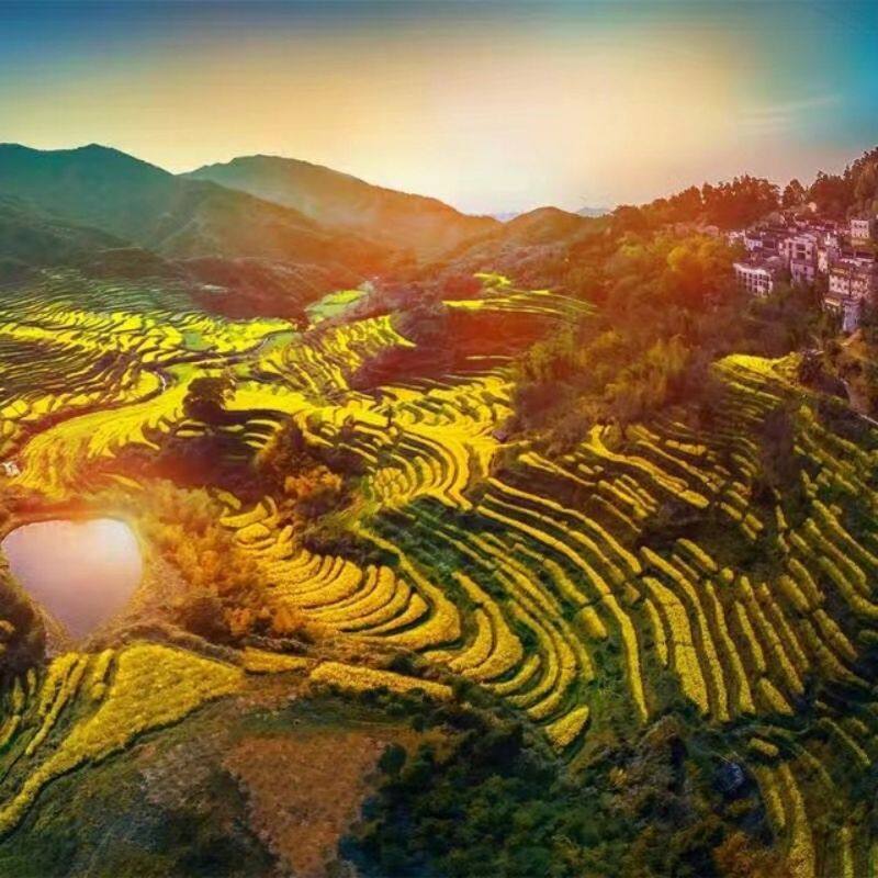 纯玩-屯溪老街+婺源篁岭+徽州古城+西递宏村4天3晚跟团游 - 定制游预订