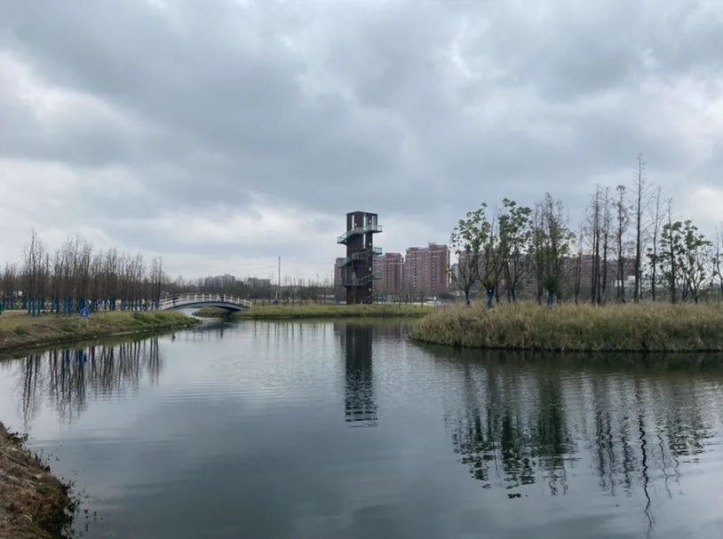 朱家桥尾水净化生态公园(建设中)图片