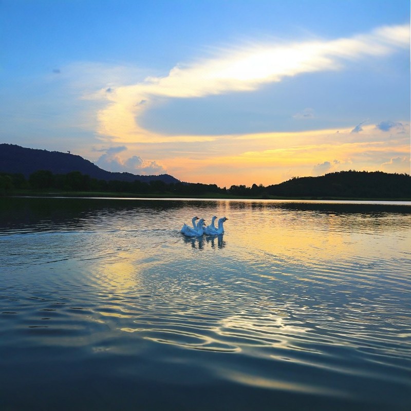 绍兴会稽山阳明酒店4天3晚+双人下午茶+高尔夫体验 | 周末不加价