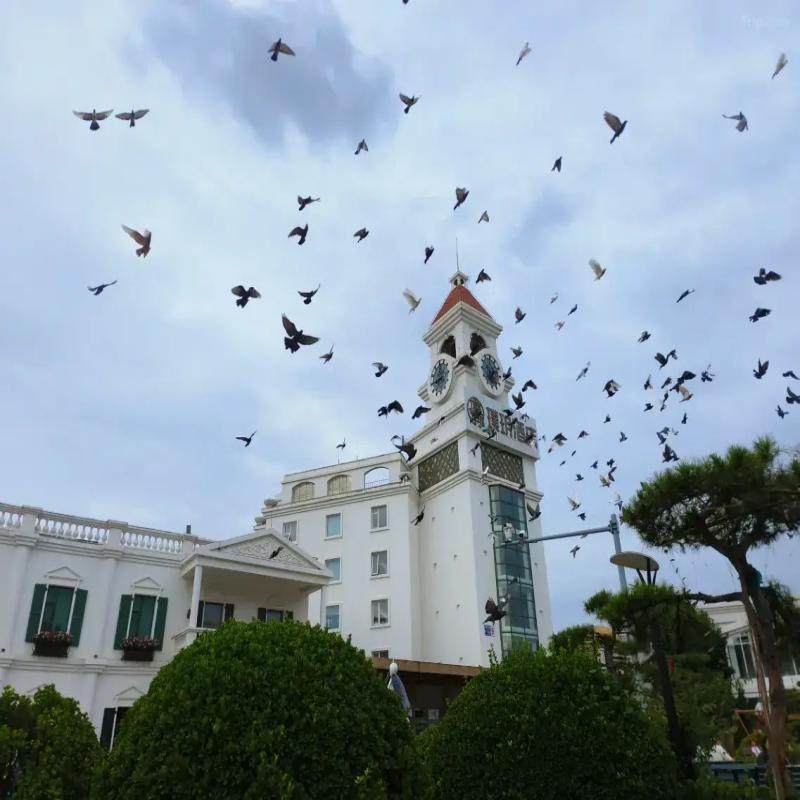 北京旅行丨北京月亮河璞玥酒店/通州运河商务区店2天1晚套餐+环球影城门票+自助早餐