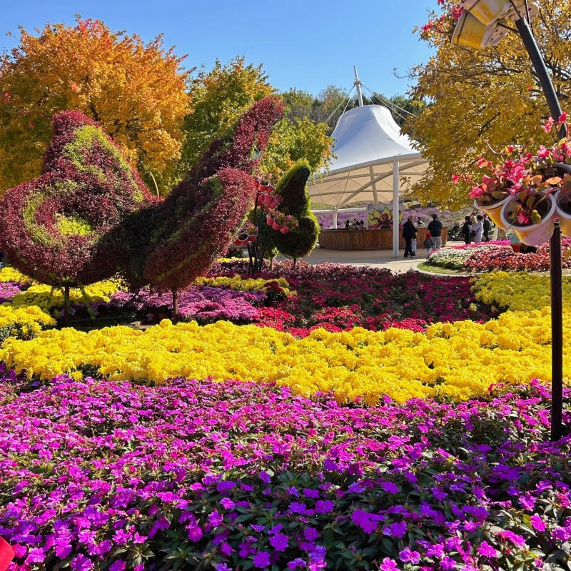 连岛和盛酒店(大沙湾店)住宿+连岛成人门票