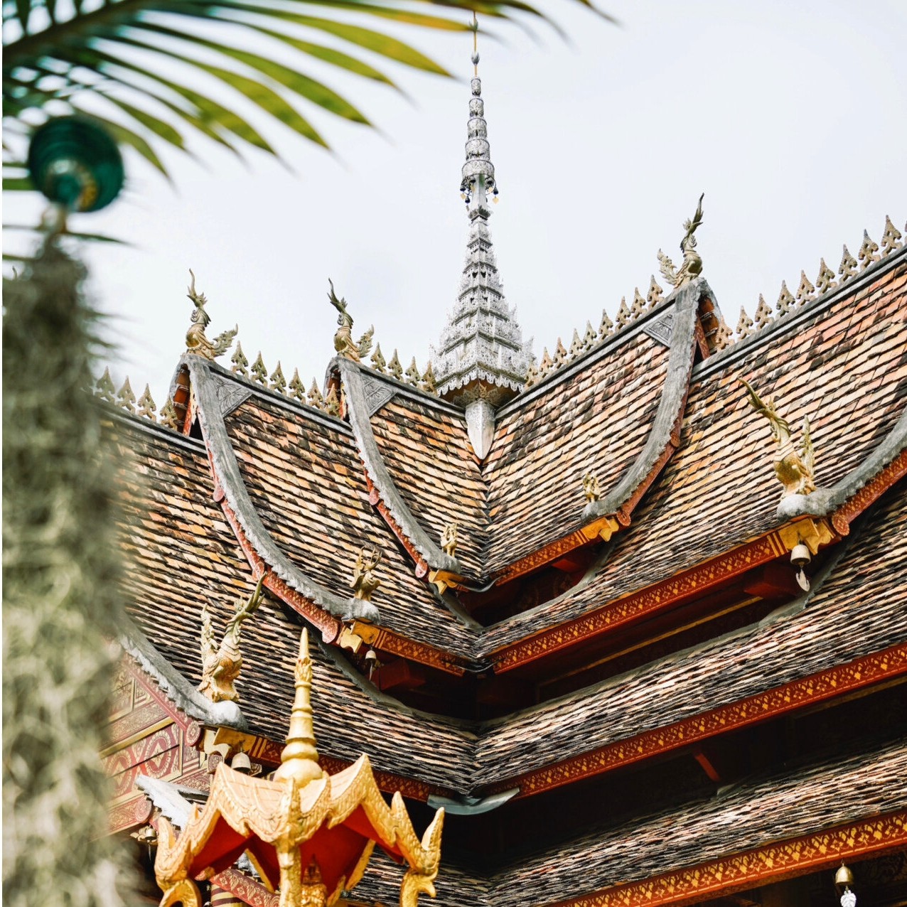 【双人酒景套餐】西双版纳5钻君豪大饭店B区2晚含早+西双版纳多景点直通车三选一