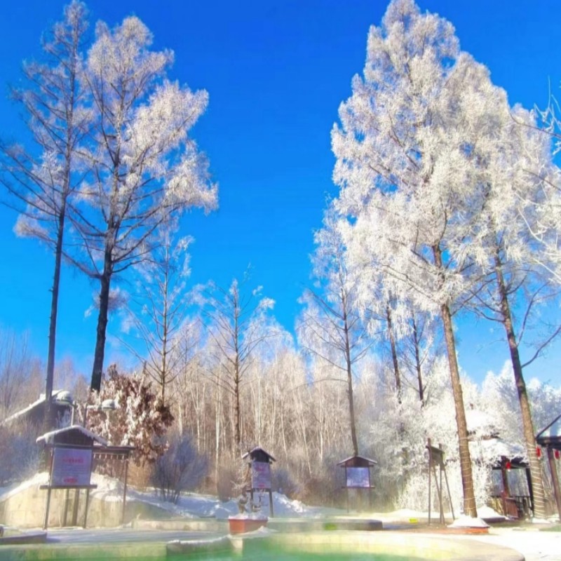 哈尔滨伊春铁力2日游2-6人小团透龙山桃山玉温泉日月峡滑雪场包车