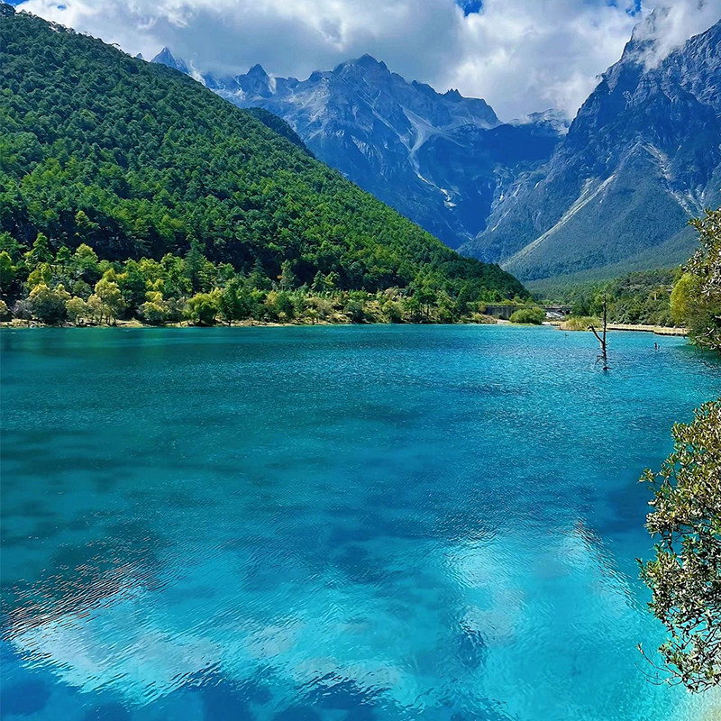 【单人可定】纯玩无购物0自费昆明大理丽江6天云南旅游旅拍双表演