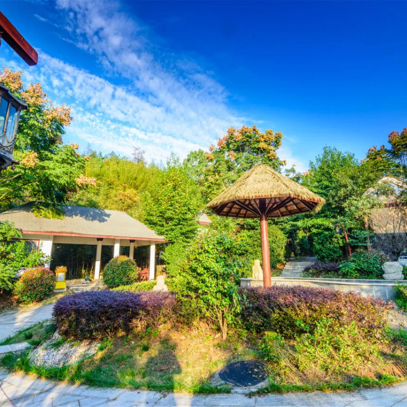 Y【咸宁温泉】武汉周边温泉丨咸宁碧桂园自驾游/可选汤屋