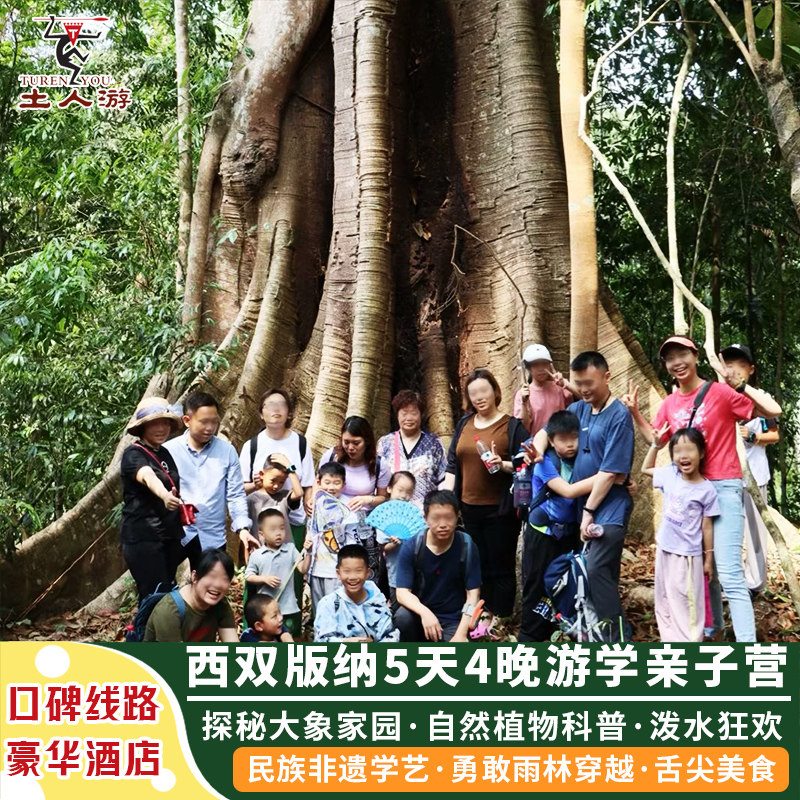 西双版纳5日亲子游 野象谷雨林牧象植物园自然科普基诺山雨林徒步 - 定制游预订