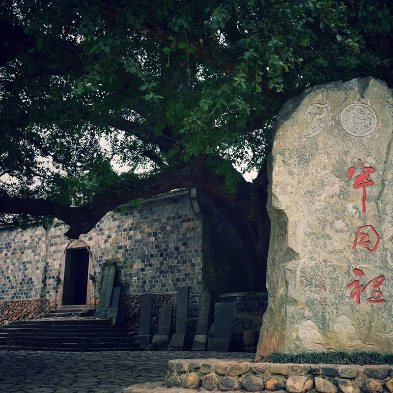 霞浦一日游 沙江s湾+半月里+南湾甲骨文+鹅湾红树林 2人起定