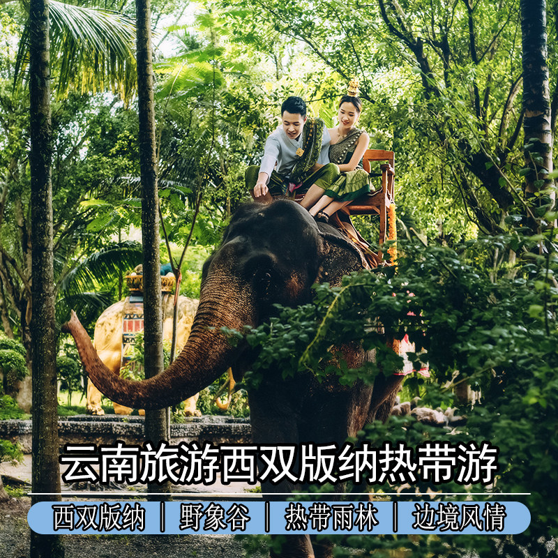 云南西双版纳4天3玩跟团旅游游昆明出发高铁往返精华景点野象谷 - 定制游预订