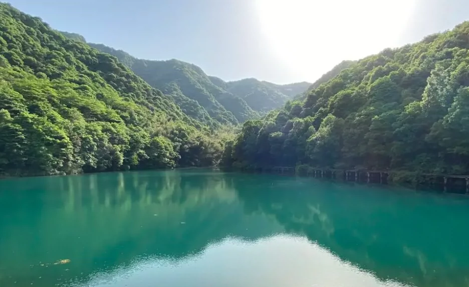 龙坞水库图片