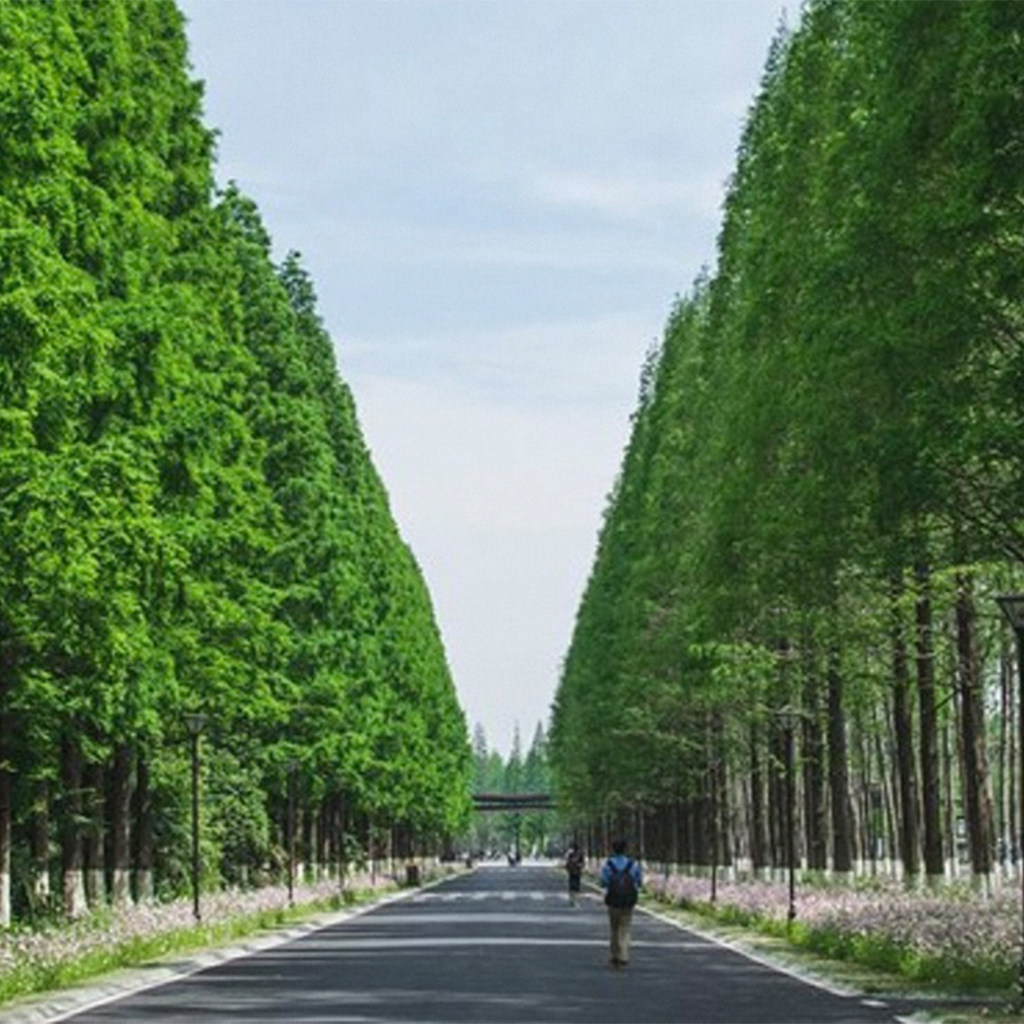 【林中秘境】2晚江苏盐城黄海森林花间亭.静林+森林公园+麋鹿苑+动物园门票