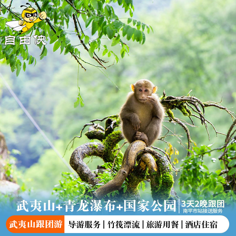 南平市站接团武夷山当地3天2晚跟团游 武夷山三日跟团游 竹筏漂流 - 定制游预订