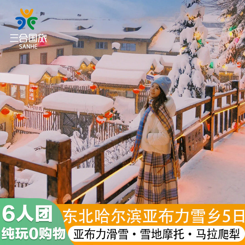 纯玩6人小团0自费丨哈尔滨旅游东北雪乡亚布力5天4晚跟团游 - 定制游预订