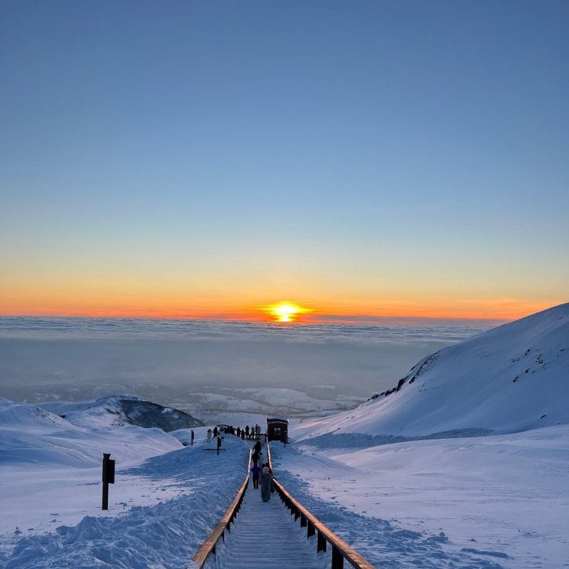 【2人】吉林长春东北虎园+伪满皇宫博物馆+通化高句丽文物旅游区+轻奢酒店自由行