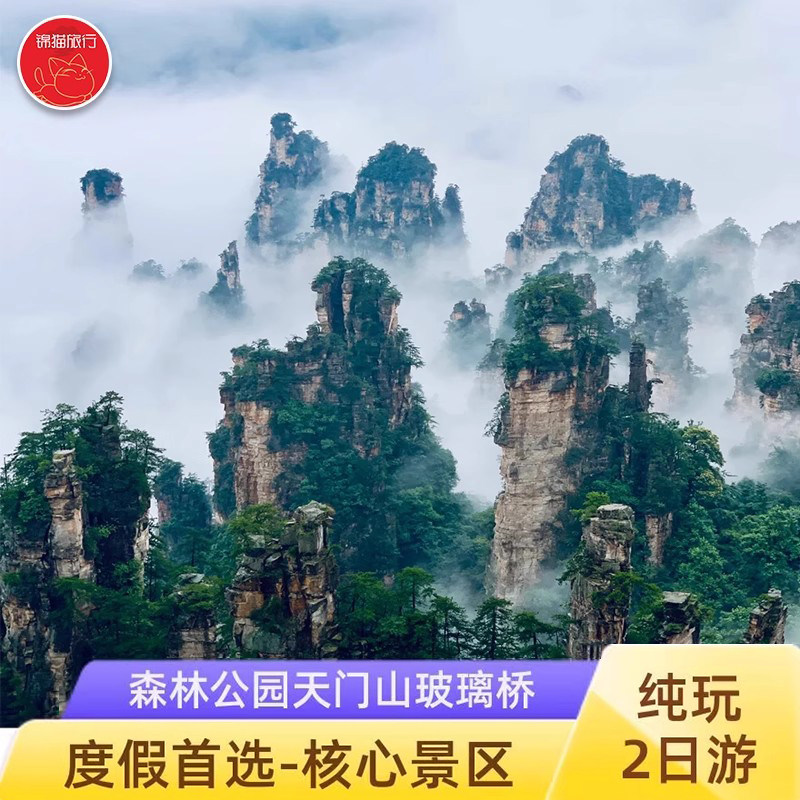 湖南张家界旅游2天1晚纯玩跟团游天门山大峡谷黄龙洞森林公园 - 定制游预订