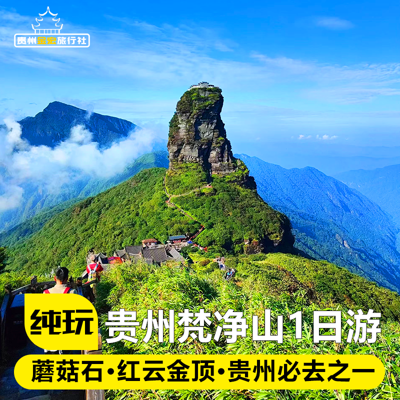 贵州旅游纯玩团梵净山一日游 蘑菇石红云金顶 飞猪旅行贵阳跟团游 - 定制游预订