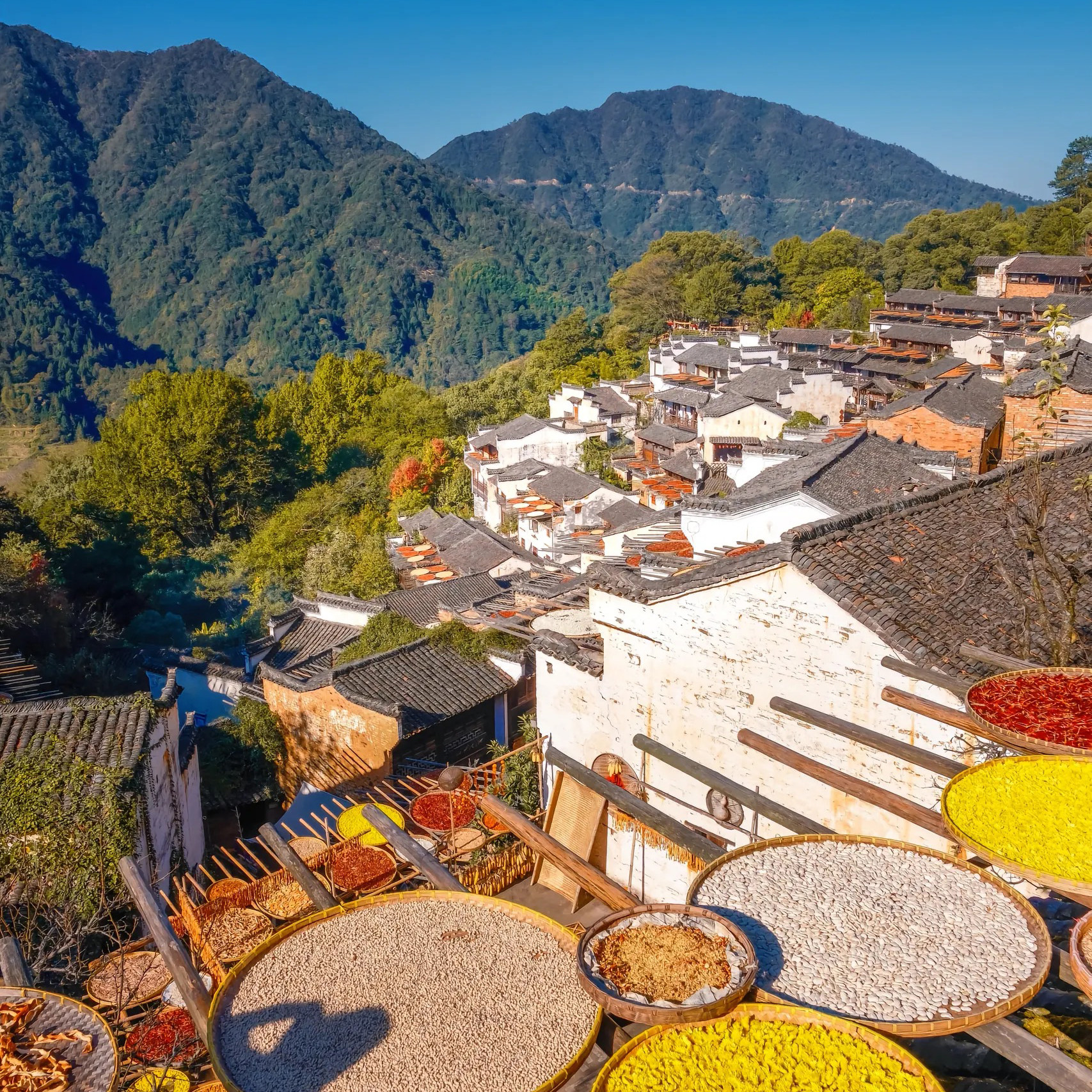 南昌庐山鄱阳湖景德镇三清山婺源篁岭5天4晚跟团游+接送站-30人 - 定制游预订