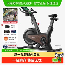 Merrick Dynamic Exercise Bike, Self-Generating, Home-Use Model, Weight Loss Exercise, Fitness, Indoor Use, Black Knight Turbo
