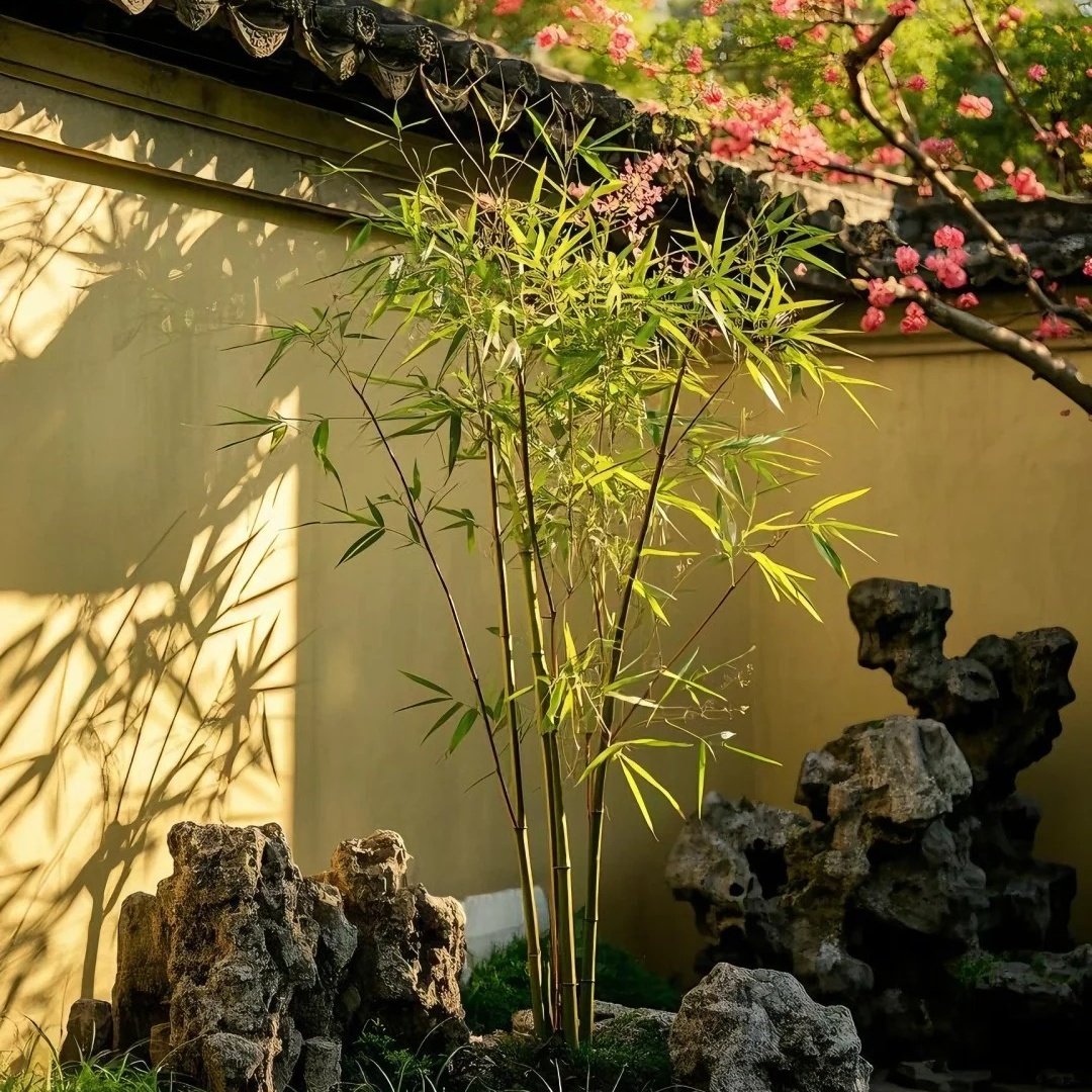 怡景美季酒店(宜昌万达广场三峡游客中心店))住宿+三峡大瀑布成人票