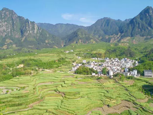 家朋梯田花海图片