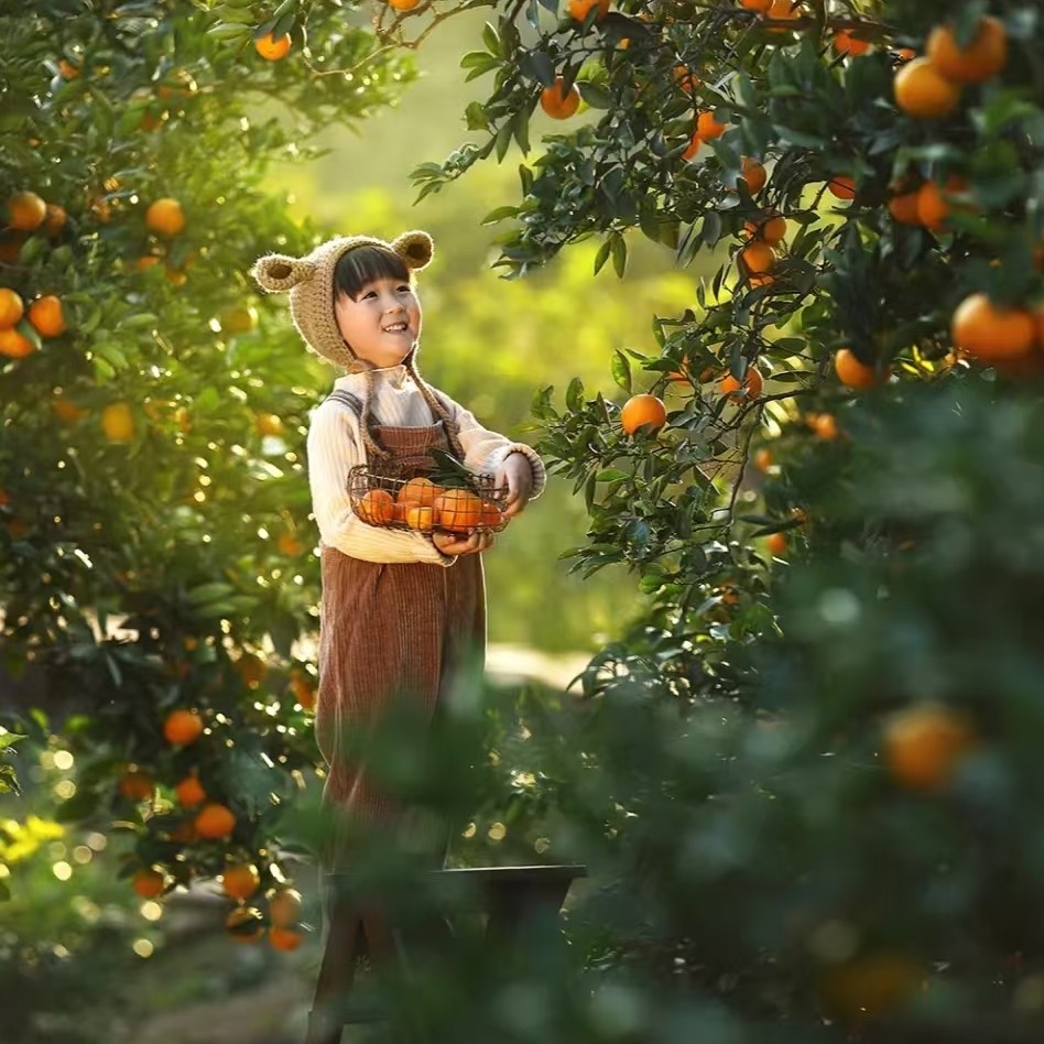 【韶关龙南2天游】帽子峰赏银杏+脐橙任摘任吃+南武当山+玻璃桥 - 定制游预订