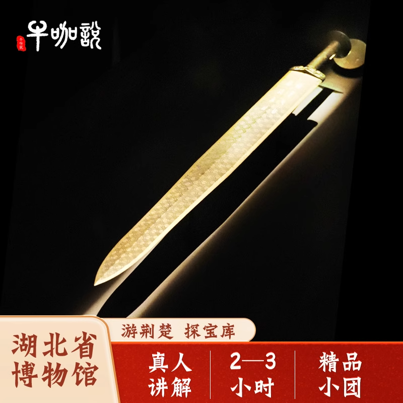 湖北省博物馆2/3小时深度人工讲解精品小团半日游+无线耳麦15人内 - 定制游预订