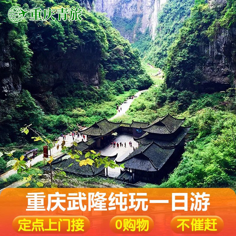 重庆武隆一日游纯玩天坑地缝仙女山乌江画廊周边跟团游小包团旅游 - 定制游预订