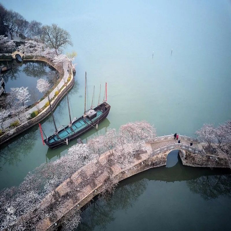 无锡出发【纯玩】无锡灵山大佛+鼋头渚1日游 - 定制游预订